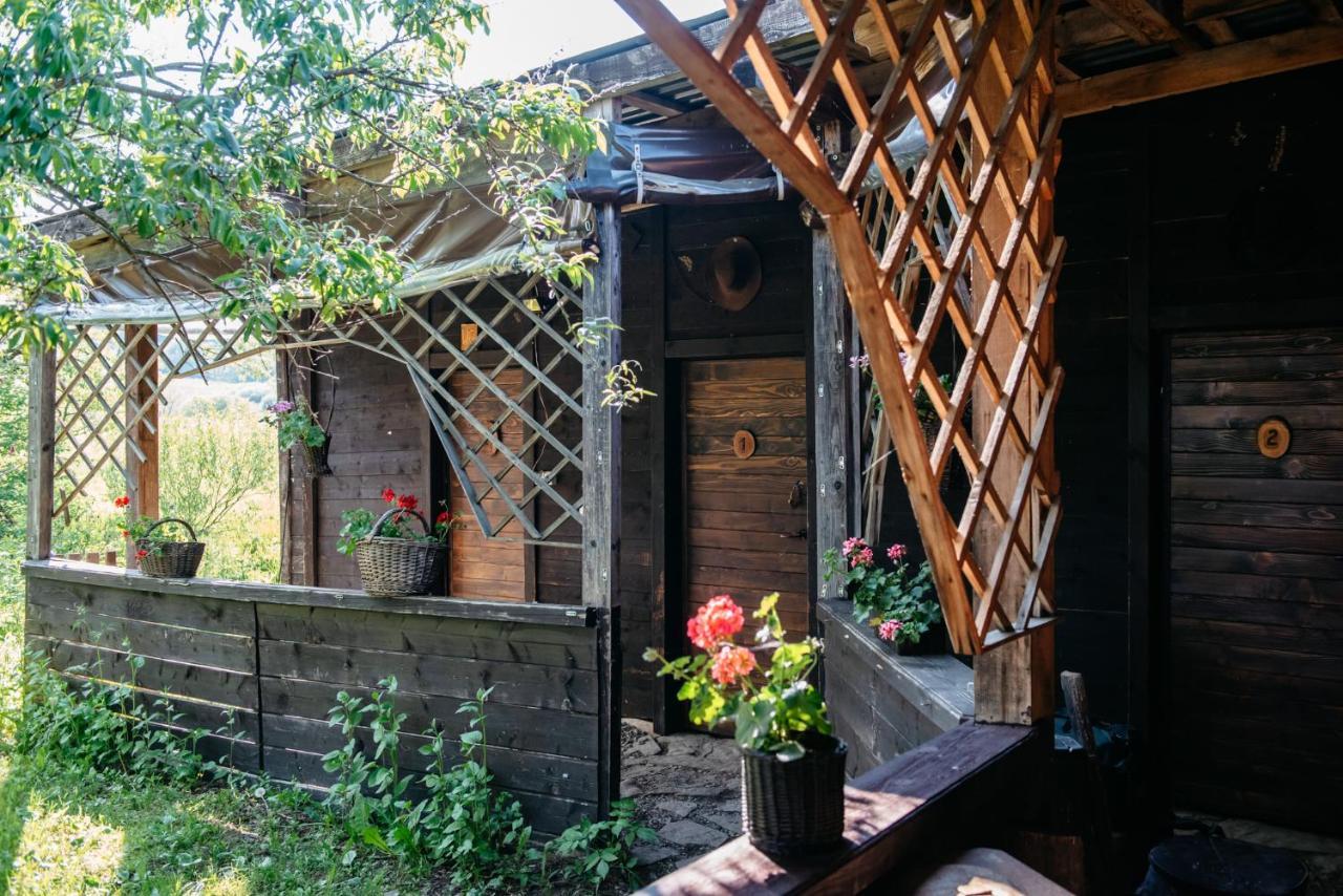 Zagroda Chryszczata Smolnik  Екстериор снимка