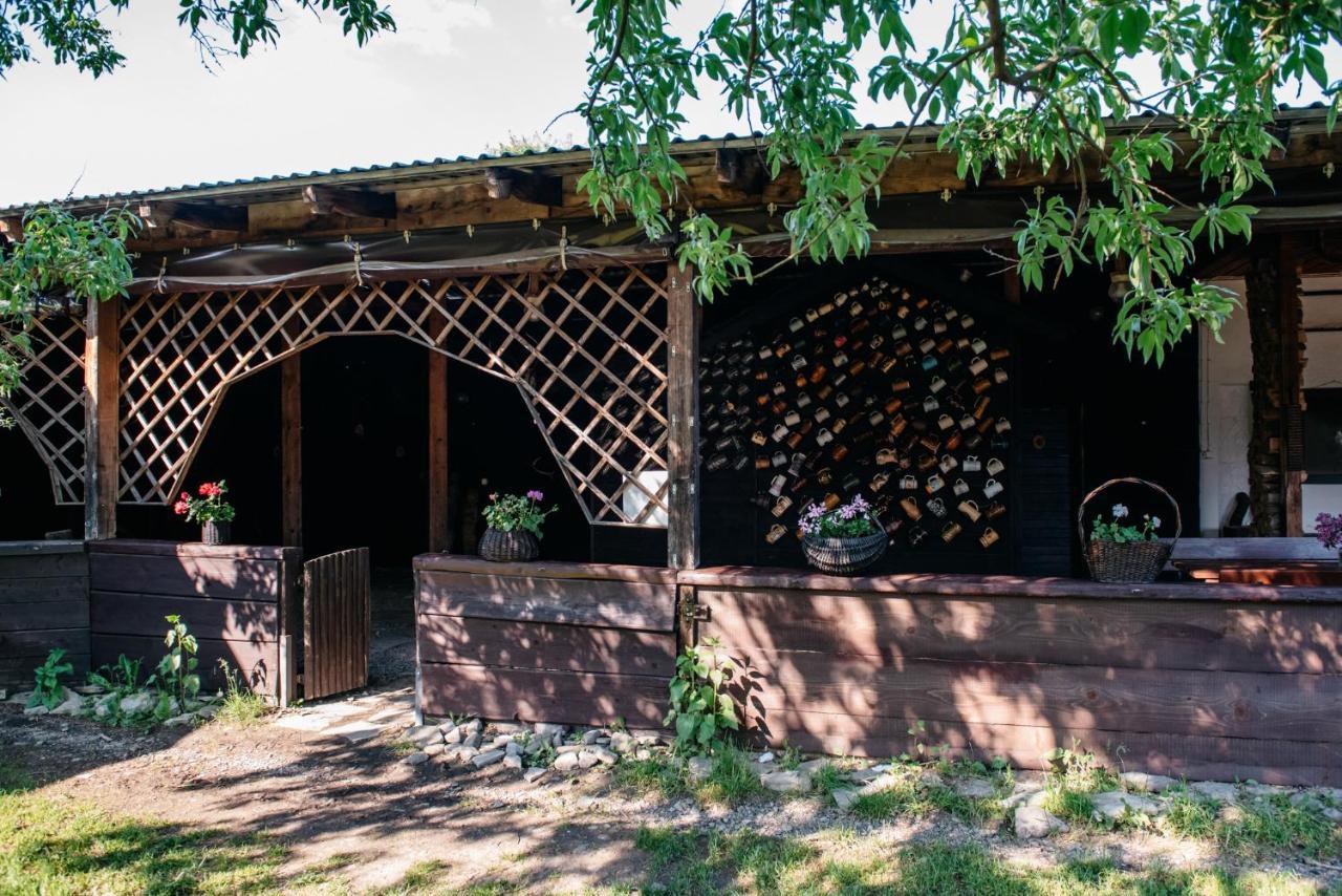 Zagroda Chryszczata Smolnik  Екстериор снимка